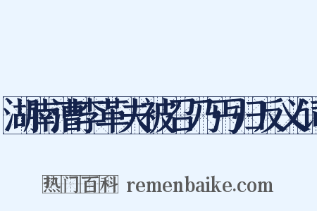 湖南漕李革夫被召乃丐归反义词是什么意思的图片
